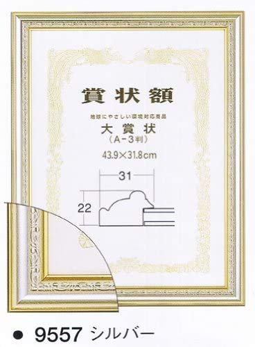 細長い額です Amazon.co.jp: フレーム.額.賞状額縁 9557.サイズ尺七大（A4) シルバー